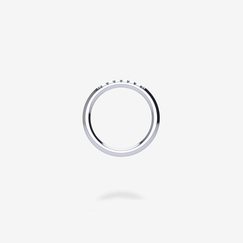 1/3 Pavé Band