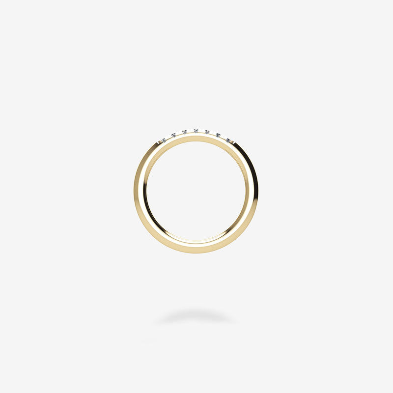 1/3 Pavé Band