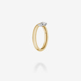 18K Yellow Gold & Platinum