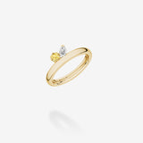 Off Orbit n°8 Ring