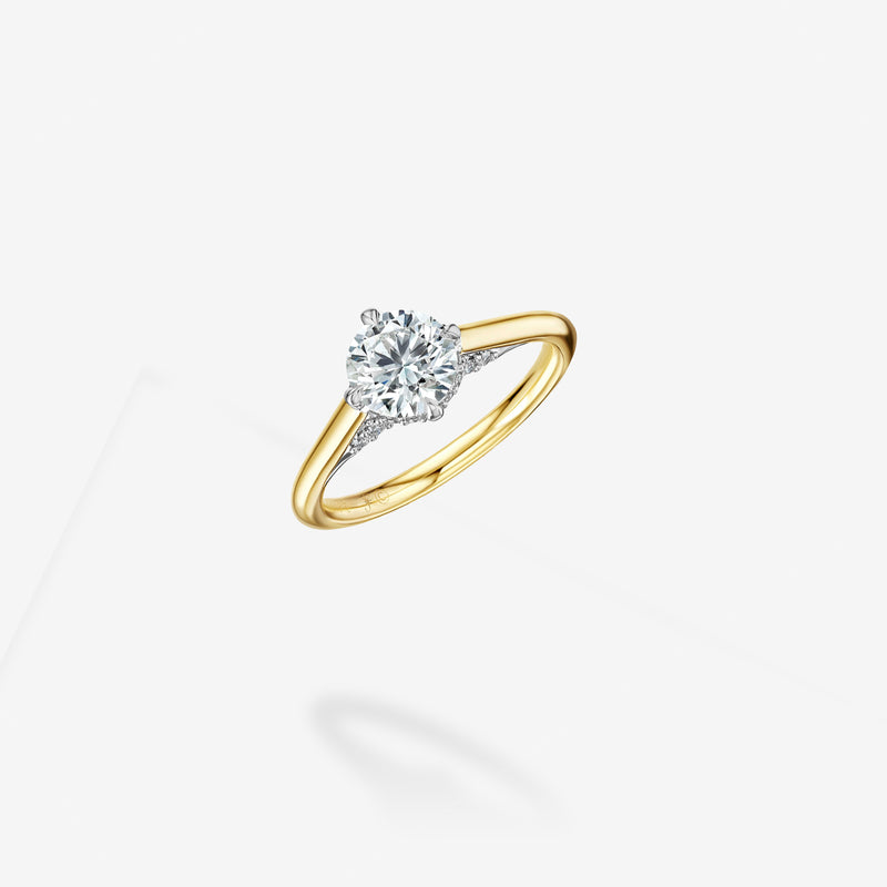 Hidden Stardust Milestone Ring