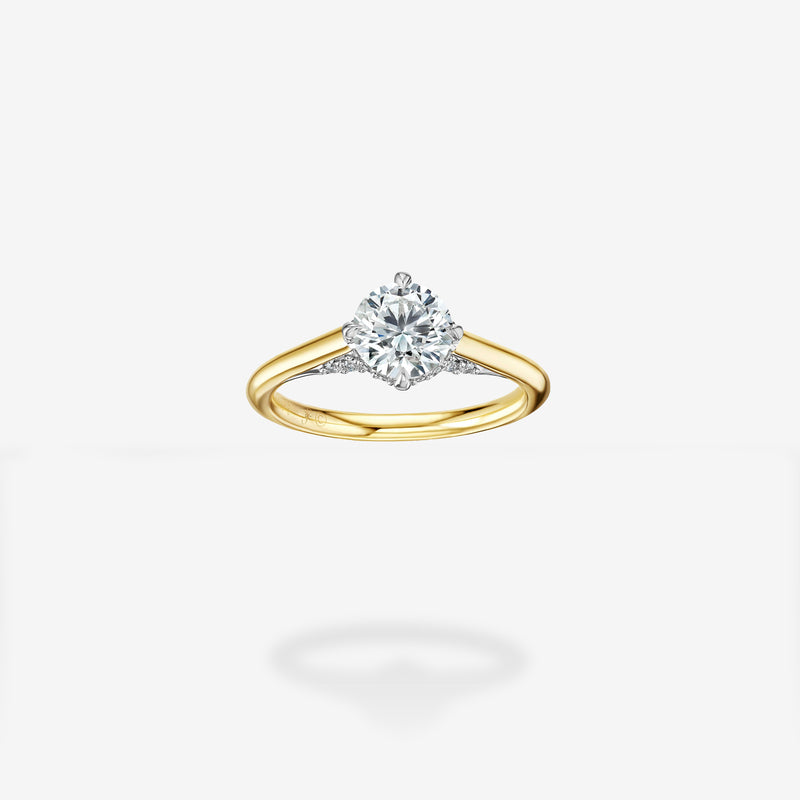 18K Yellow Gold & Platinum