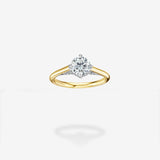 18K Yellow Gold & Platinum