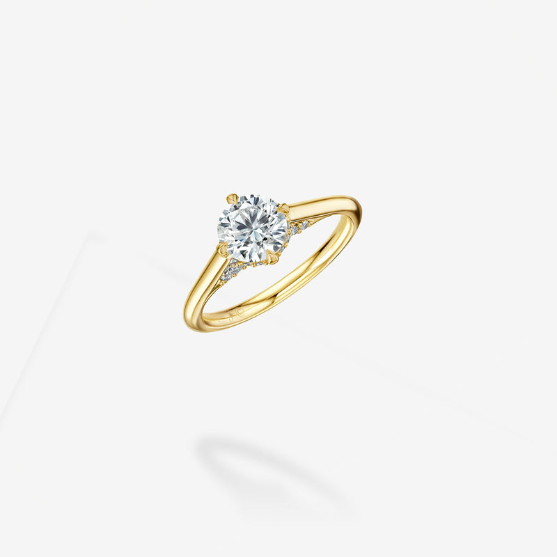 Hidden Stardust Milestone Ring