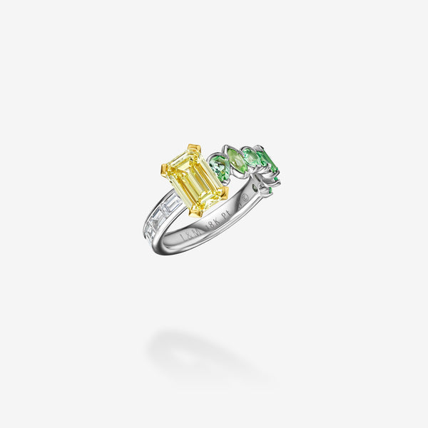 Polar Fusion Milestone Ring