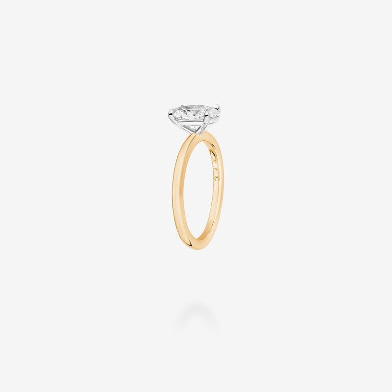 18K Yellow Gold & Platinum