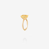 18K Yellow Gold