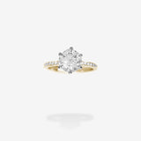 18K Yellow Gold & Platinum