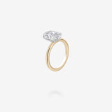 18K Yellow Gold & Platinum